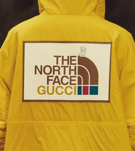 north face gucci drop|north face gucci collection.